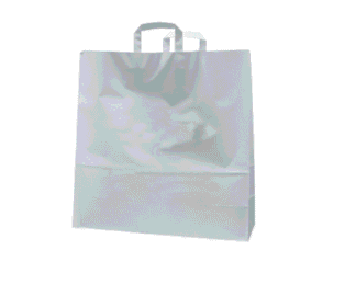 Papier-Tragetasche 45+17x48cm (VPE: 150 Stück) Partner-Pro-Gesundheit